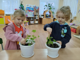 Труд в природе (уход за комнатными растениями🪴🌸💦 Труд в природе (уход за комнатными растениями🪴🌸💦.